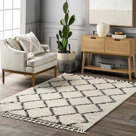 Nuloom Michelle Diamond Trellis Tassel Area Rug 3ft x 5ft GCDI13A-305